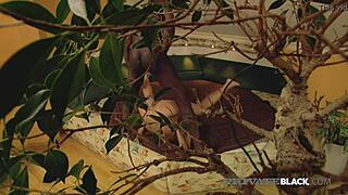 Horny Michelle's ass gets packed in an interracial threesome