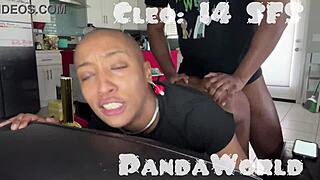 i'm a bald ebony submissive slut getting my asshole wrecked by big black cock