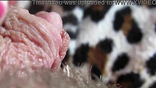 Big clit orgasm closeup