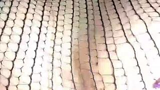 le tiran semen en la cara - cumshot facial - anal - sexo anal - verdadero anal - le rompen el coño y le dan la leche en la cara - creampie