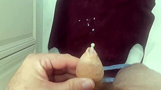 I pay tribute to her charms