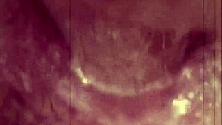 look at this vintage hairy pussy getting blown in retro style