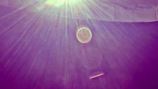 hey, married woman in car for early morning holiday sex 😏