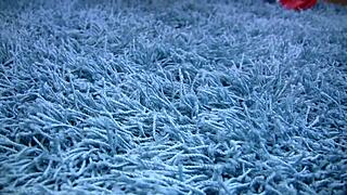 black tits milf, ride the giant cock with your big pussy