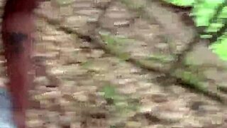 we got caught in the forest as she begged for black dick