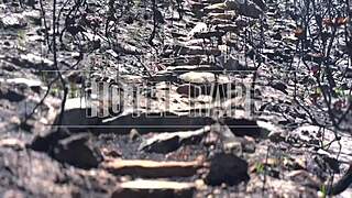 Mistress April Uses Restrained Slave!