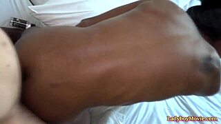 Thai shemale jina blowjob n bareback