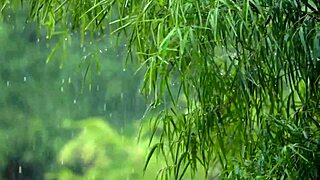 learn how to perform oral sex on your girl with cristian cipriani 😏