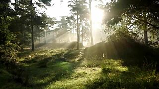 learn how to perform oral sex on your girl with cristian cipriani 😏