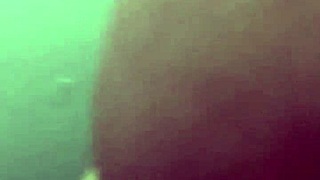 amateur blowjob action takes place in a luxurious hotel suite with eager participants