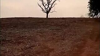 Small country girl fucks in sugarcane field