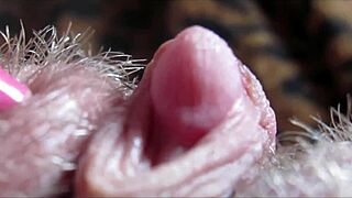 closeup of a big clit reaching orgasm