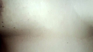 Naughty asian brunette with tiny tits gives amazing blowjob delight