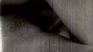 Vintage erotic drawings of beavers and pussies