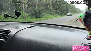 What Would You Do If You Saw Us Fucking On The Side Of The Highway?