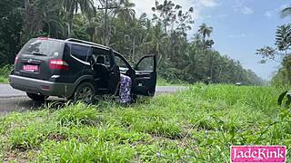 What Would You Do If You Saw Us Fucking On The Side Of The Highway?