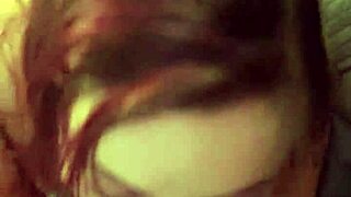 hey, black bulls bunny is ravishing ray's main bunny