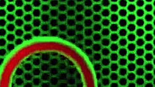 don't miss tanya tate