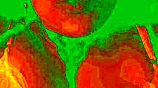 exotic bluee shows her horny pleasure face while getting her pussy licked