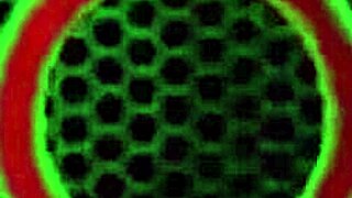 holly heart in sensual bisexual pussy licking session