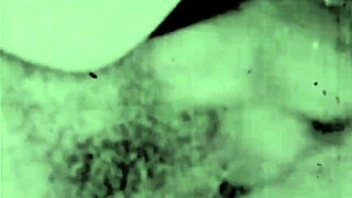 dark lantern entertainment presents two centuries of vintage porn