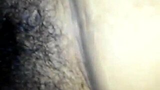 La China Señora Casar