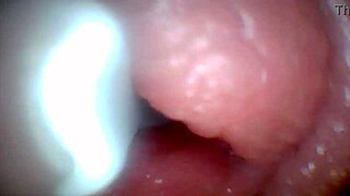 Endoscope camera reveals the most sensitive parts of the penis in this educational video