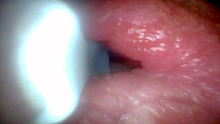 Endoscope camera reveals the most sensitive parts of the penis in this educational video