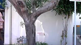 Porsha Blaze sucks and fucks in limo