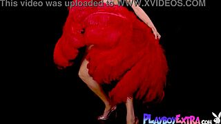 Skinny blonde MILF Miranda shines in her slutty burlesque costume