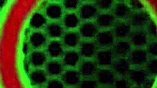 Tempting Meximilf Gabby Quinteros Toys With Her Clit