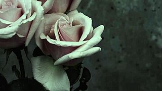 mcr - i dont love you sub español