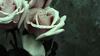 mcr - i dont love you sub español