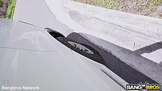 Kelsey craves roses and massive black cocks