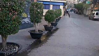 Cum walk club público de putas estudio de sexo hardcore para adultos retorcidoeg