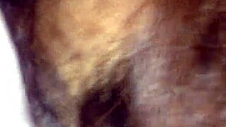 Watch me creampie your sister-in-law, part 2