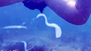 Wanna dive underwater for this BBW milf's juicy creampie pussy fill-up?