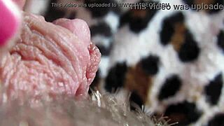 her huge clit swells throbs explodes in homemade closeup orgasm frenzy