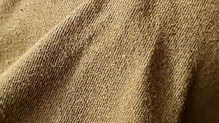 braless babe flaunts her hard nipples