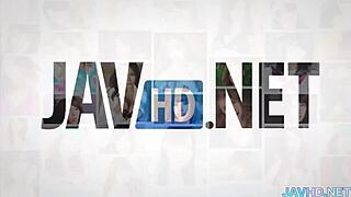 Sweet Japanese Babe Delivers Hardcore Blowjob And Full Swallow In HD