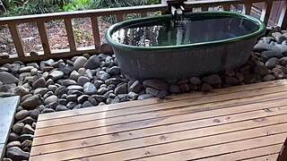 wanna soak in sakura hot springs with sexy nacchi?