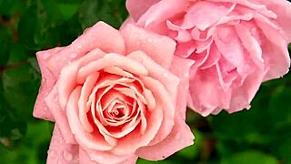 college buddy sneaks in and fucks my tight indian pussy hard