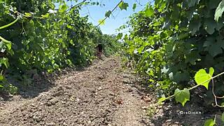 caught this shameless 18yo teen bent over on the ranch and punished her ass with hard anal doggystyle till gaping cum