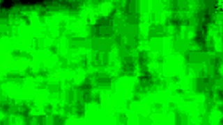 have you seen this blonde slut teen's massive jiggling ass?