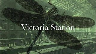 Dark lantern unveils dragonfly freddie's vintage hairy beaver close-up