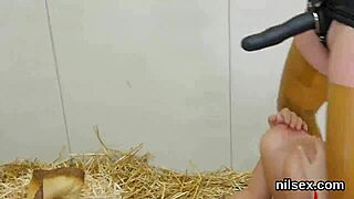 i got dragged to anal asylum for my feisty hole's brutal punishment